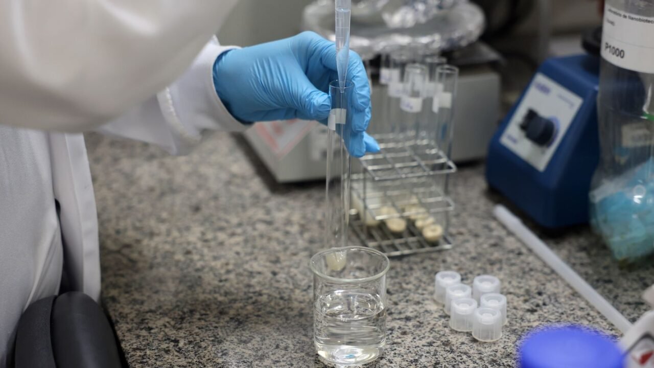 Doença de Newcastle: protocolos sanitários são cumpridos em SC