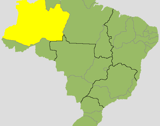 Resultado para governador no Amazonas: veja quem está na frente no 2º turno