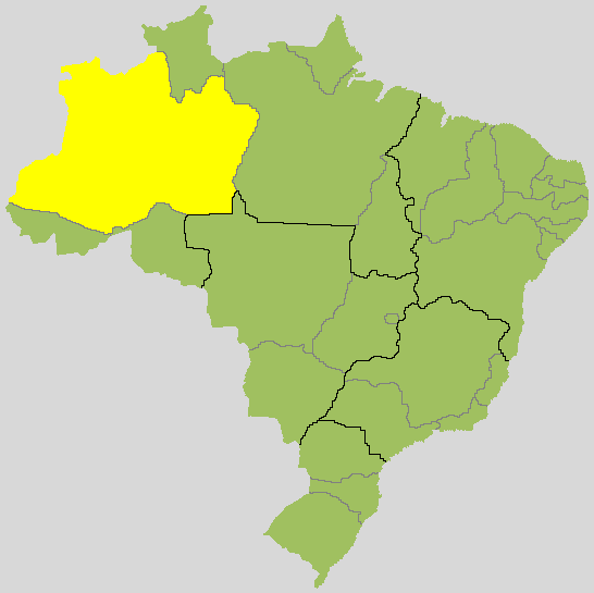 Resultado para governador no Amazonas: veja quem está na frente no 2º turno