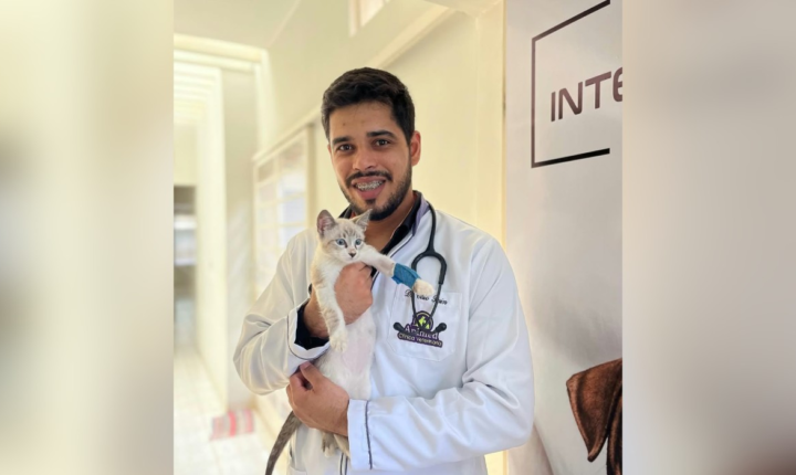 Anti-cio ou castração: veterinário explica riscos dos anticoncepcionais hormonais para cães e gatos