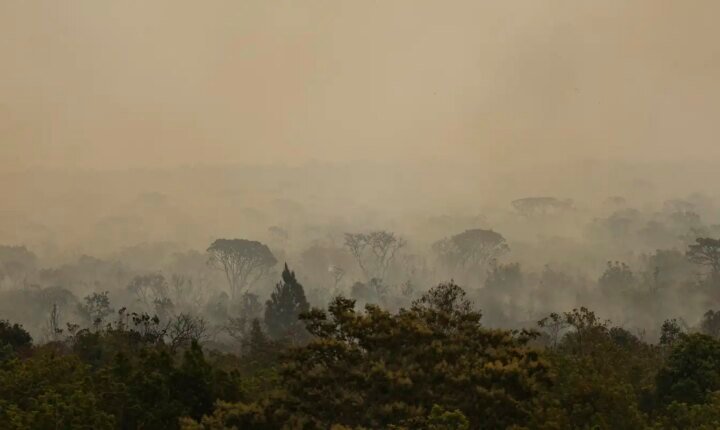 Força Nacional do SUS apoia atendimentos no Amazonas após incêndios