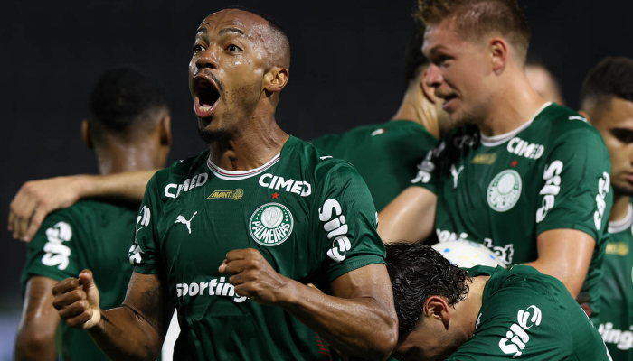 © Cesar Greco/Palmeiras/Direitos Reservados