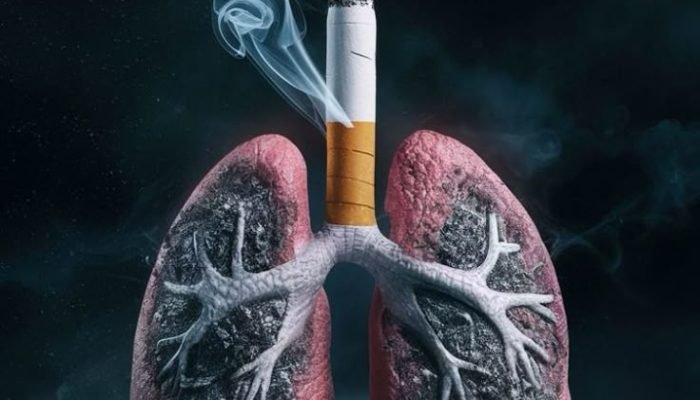 07e1a2d6b3c3202f6b62d300e60ffa36