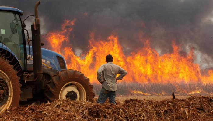 172453009566ca3daf845bd_1724530095_3x2_md