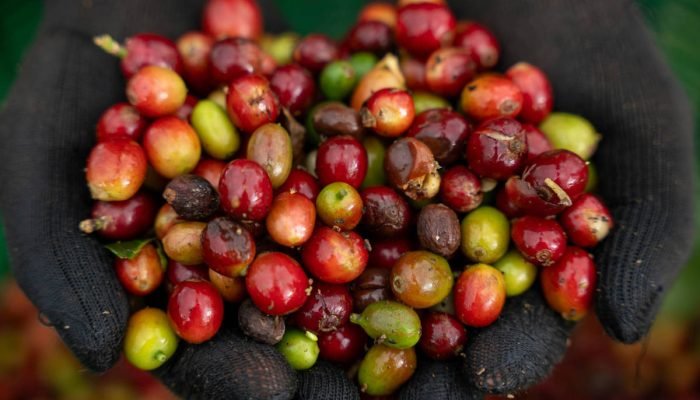 Kaikeo Saiyasane - 9.nov.25/Xinhua