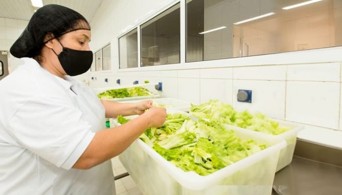 20260122_Manipulacao-Alimentos-768x403