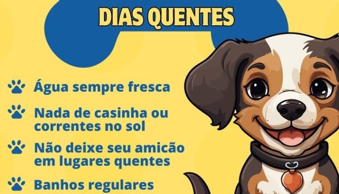 2d01a7f8bba664491d3b098fa3432ef0