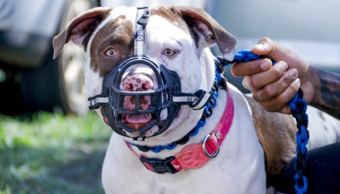 53104287427_e7d862d04f_k