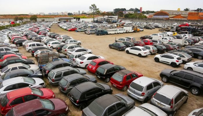 54009702289_8e5101c7f8_k-4-1024x683