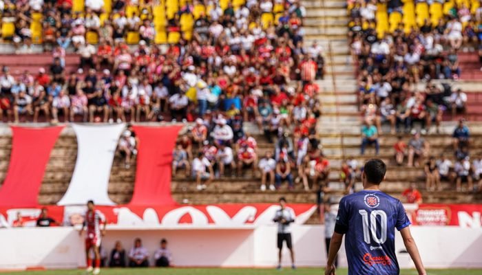 54608188986_862d416ac9_4k_d191022a45