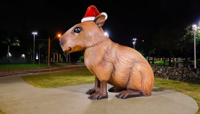 54932487119_dcfcaf1eec_k