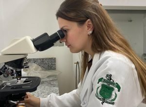 738480da-001c-4dbe-a57a-bb6545ef81bf