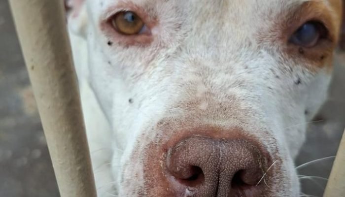 84cf30f2-4b52-4e94-8d3d-0175334d3e76