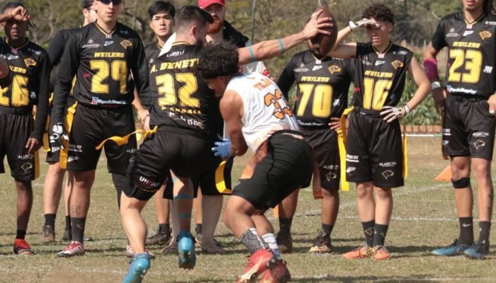 8e1eae8d-5d33-43d8-ba07-fb7e199b6de5