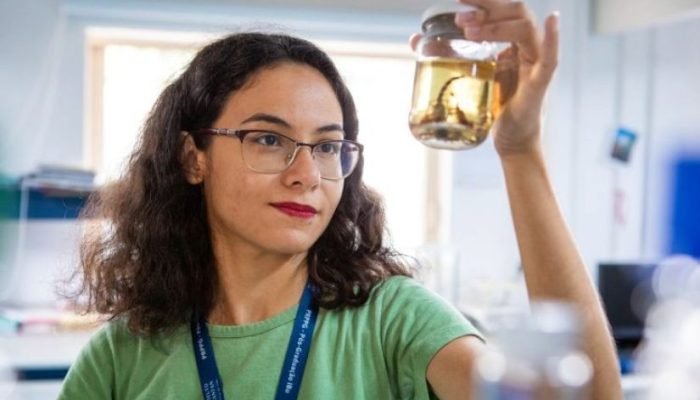 Infraestrutura sáb, 22/11/2025 - 9:51 Feirão Casa Paulista oferece R$ 7,7 milhões em subsídio...