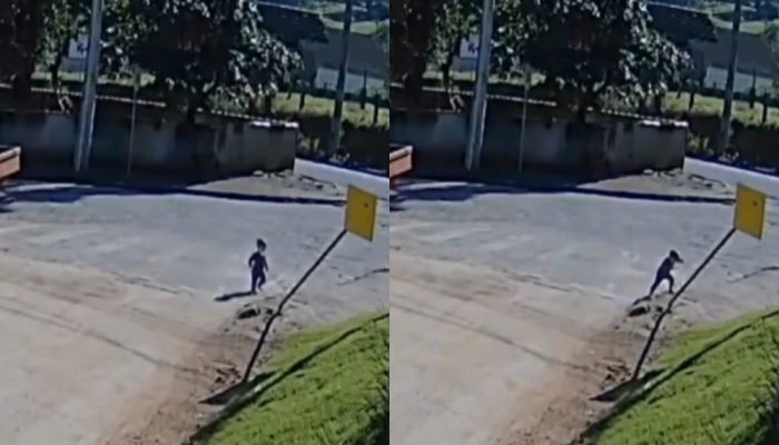 Bebê foge de creche e vai até o trabalho da mãe em SC Reprodução/Redes sociais