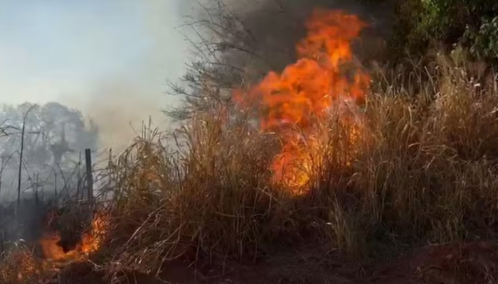 Captura de tela 2025-09-12 092300