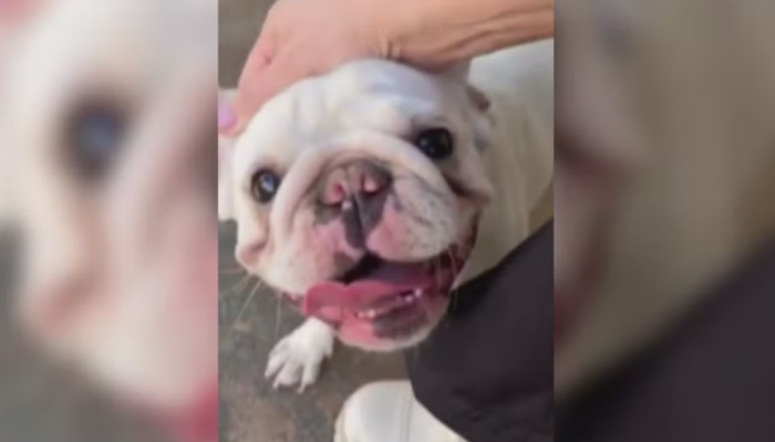 Captura de tela 2025-09-17 082127