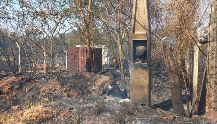 Captura de tela 2025-09-18 081346