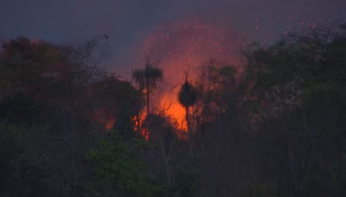 Captura de tela 2025-10-02 140135