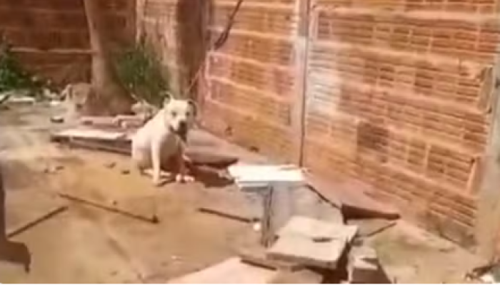 Captura de tela 2026-01-07 153717