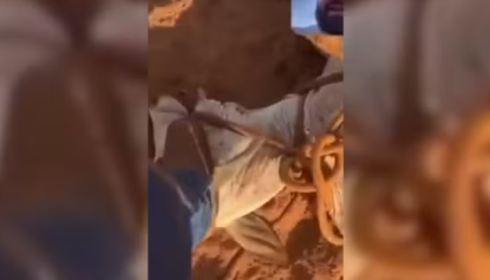 Captura de tela 2026-01-12 132727