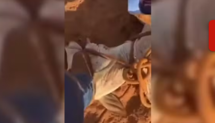 Captura de tela 2026-01-13 085852