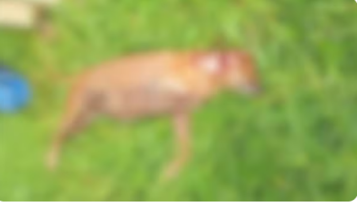 Captura de tela 2026-01-16 101753