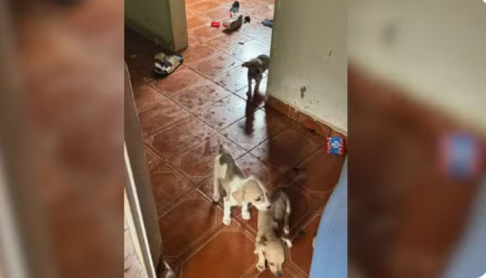 Captura de tela 2026-01-20 085021