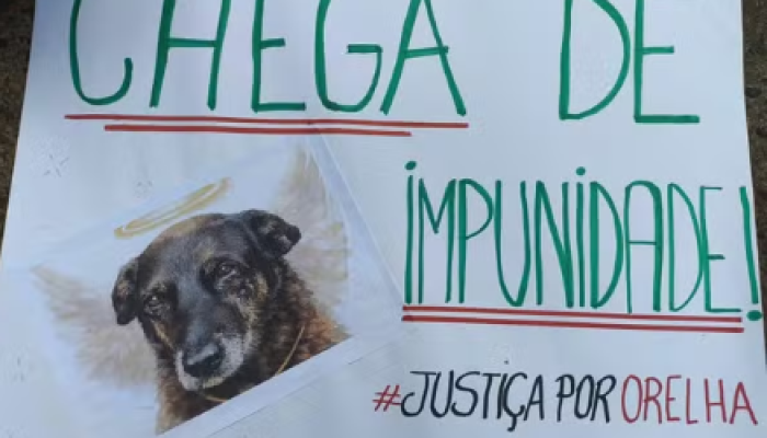 Captura de tela 2026-02-02 100636