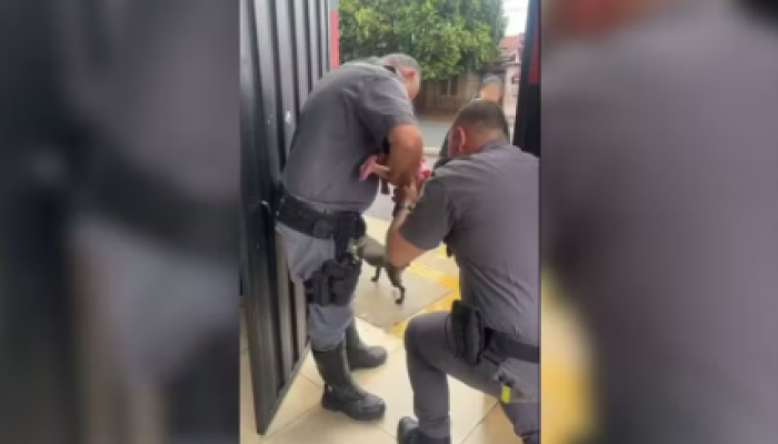 Captura de tela 2026-02-02 165621