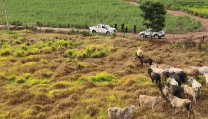 Captura de tela 2026-02-04 101738