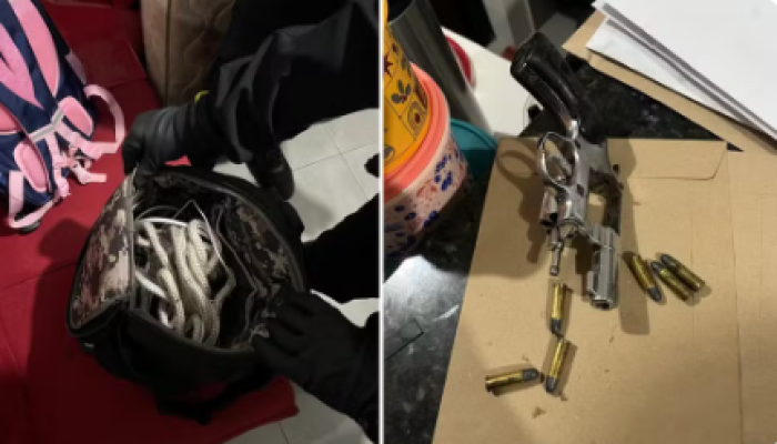 Captura de tela 2026-02-12 134141