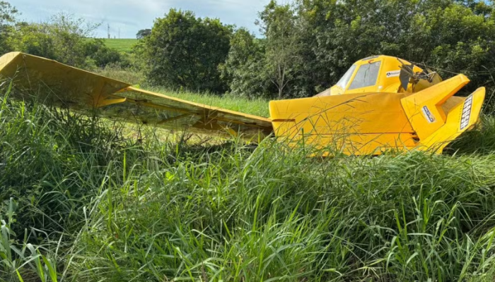 Captura de tela 2026-02-13 121520