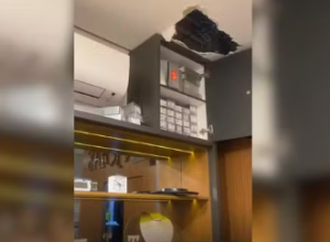 Captura de tela 2026-03-10 111837