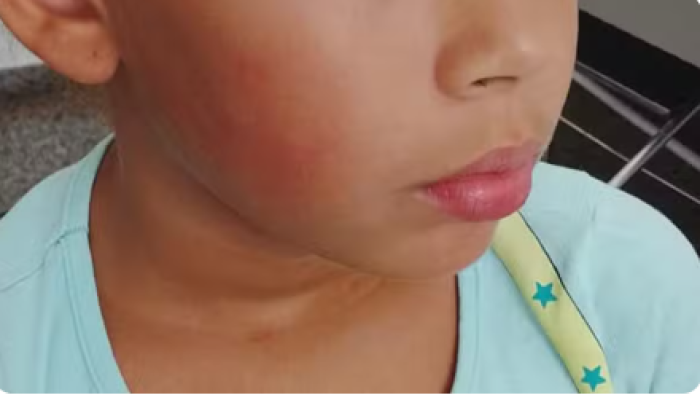 Captura de tela 2026-03-12 160029