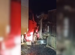 Captura de tela 2026-03-14 083135