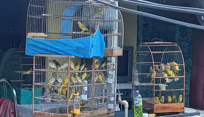 Captura de tela 2026-03-16 130918