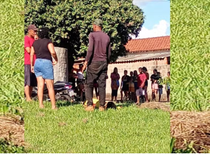 Captura de tela 2026-03-17 075021