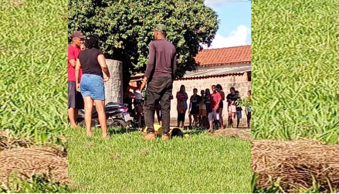 Captura de tela 2026-03-17 075021