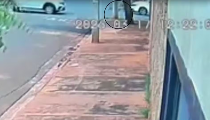 Captura de tela 2026-03-18 080107