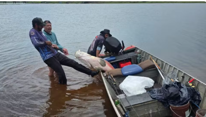 Captura de tela 2026-03-21 092305