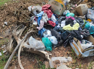 Captura de tela 2026-04-02 121423