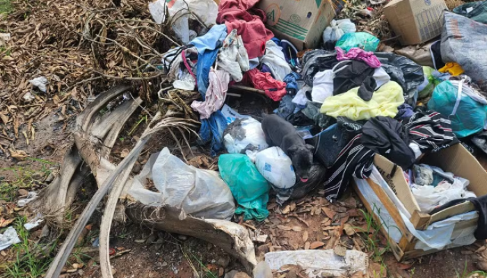 Captura de tela 2026-04-02 121423