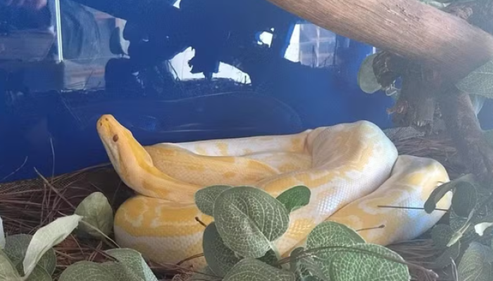 Captura de tela 2026-04-06 134546