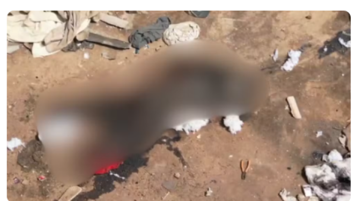 Captura de tela 2026-04-30 153123