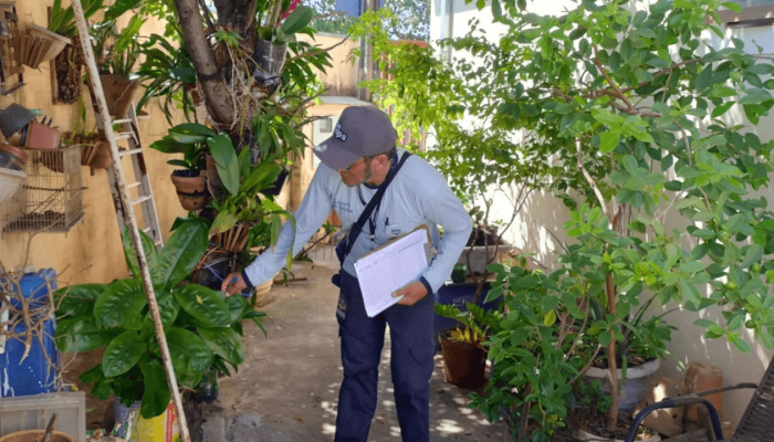 Copia_de_Arquivo_Modelos_de_Capa_p_Info_81_de94018688