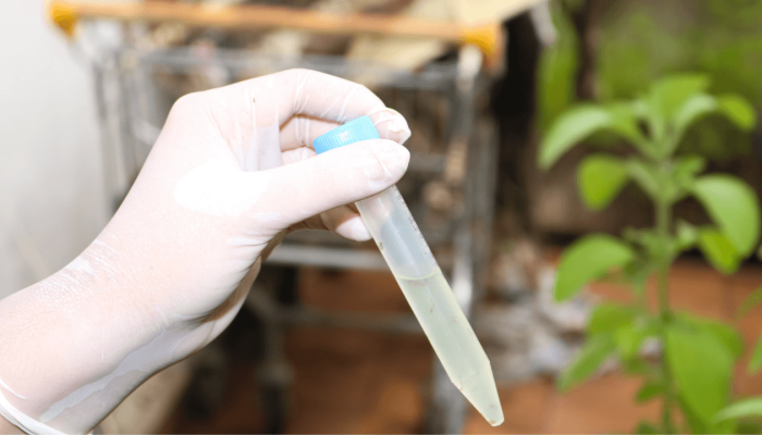 Copia_de_Arquivo_Modelos_de_Capa_p_Info_94_e9924864e3