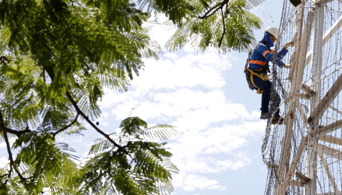 Desmontagem_da_arvore_1406a2fdb3