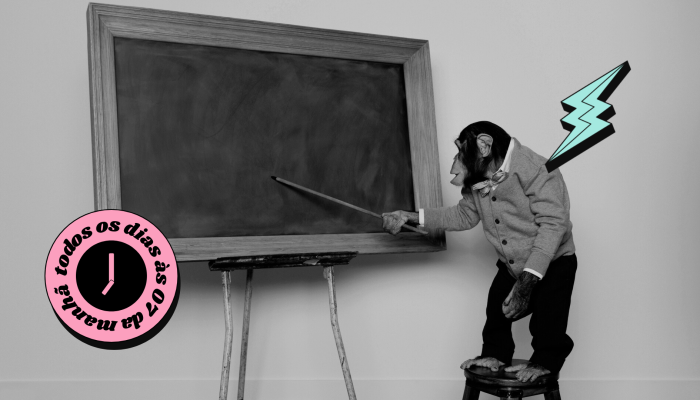 The BRIEF 👀🧠⚡